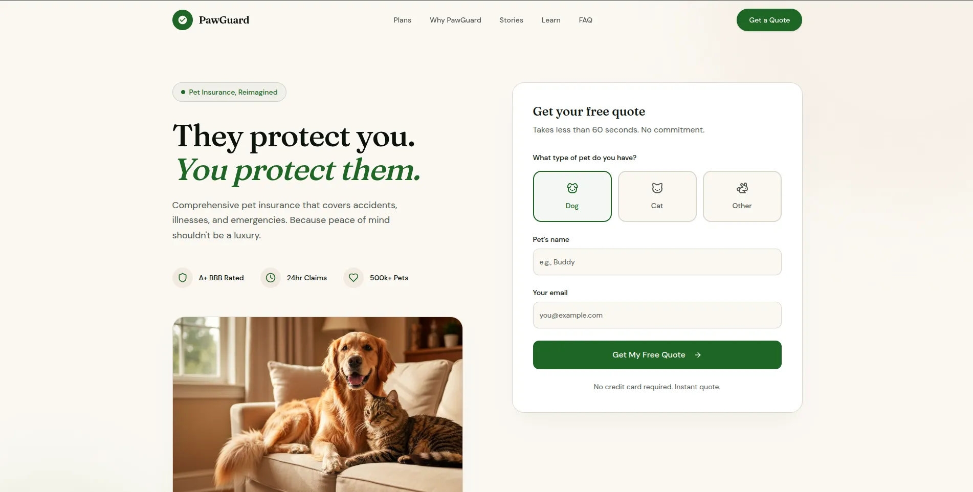 Pet insurance website design